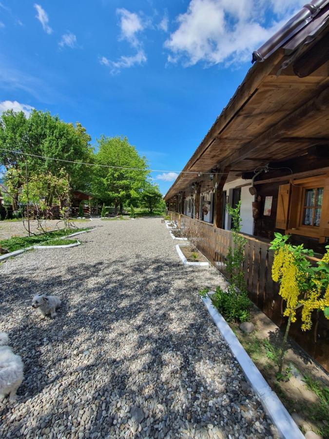 La Romaneasa Săpînţa 外观 照片