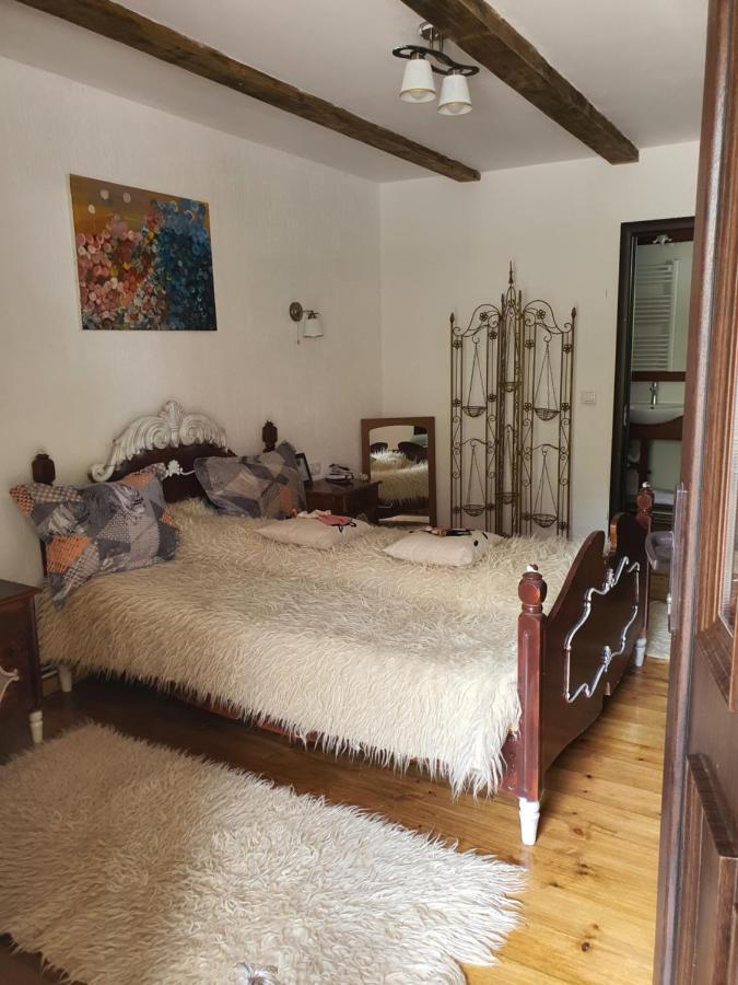 La Romaneasa Săpînţa 外观 照片