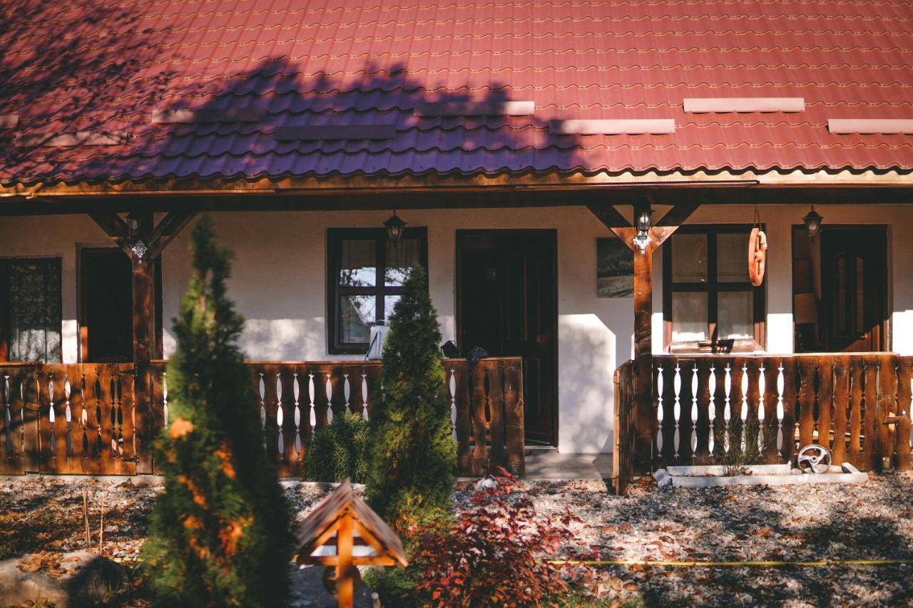 La Romaneasa Săpînţa 外观 照片