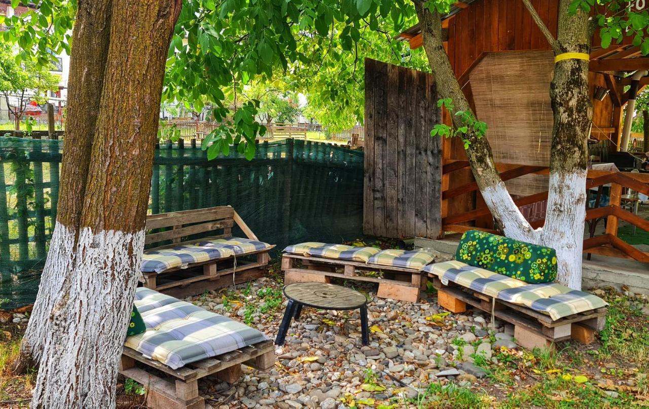 La Romaneasa Săpînţa 外观 照片