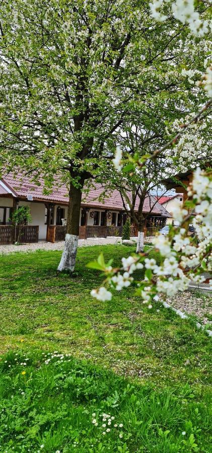 La Romaneasa Săpînţa 外观 照片